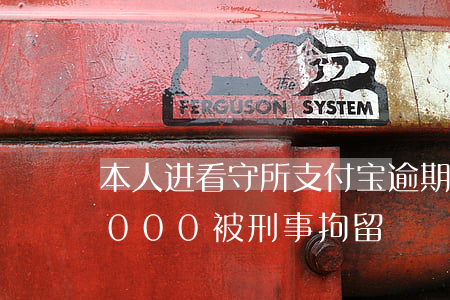本人进看守所支付宝逾期了(支付宝逾期25000被刑事拘留)