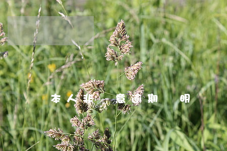 本人非惡意逾期說明