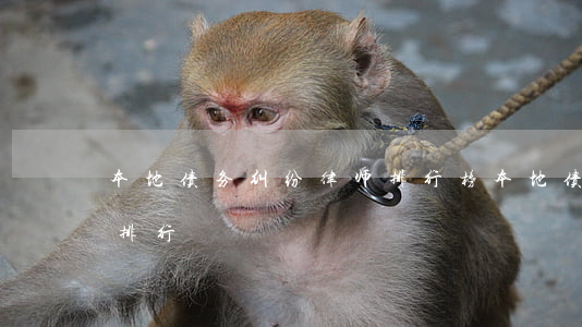 本地债务纠纷律师排行榜（本地债务纠纷律师排行）