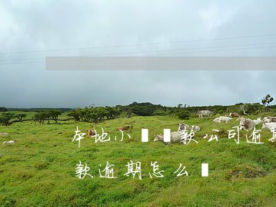 本地小額貸款公司逾期(小微企業(yè)貸款逾期怎么辦)