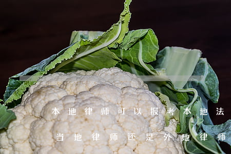 本地律师可以报考本地法院吗(异地打官司请当地律师还是外地律师)