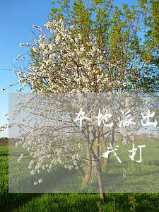 本地派出所找我欠網(wǎng)貸(派出所給我打電話說我網(wǎng)貸欠款)