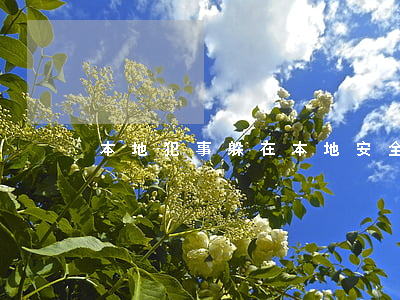 本地犯事躲在本地安全嗎