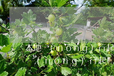 本地農(nóng)行起訴信用卡逾期(本地農(nóng)行起訴信用卡逾期)