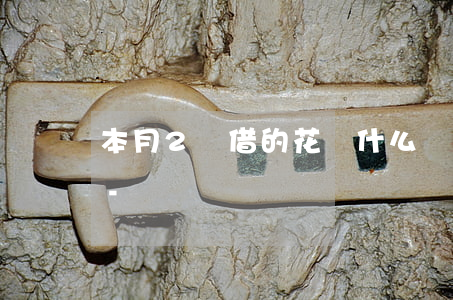 本月2號借的花唄什么時(shí)候還款-