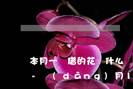 本月一號借的花唄什么時(shí)候還款-當(dāng)月1號借的花唄什么時(shí)候還