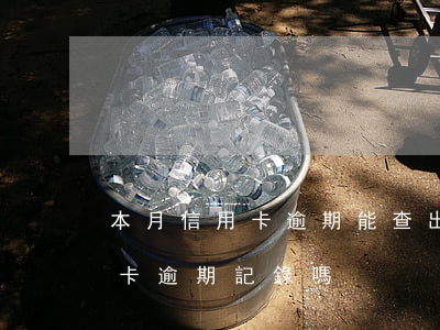 本月信用卡逾期能查出來嗎(銀行可以查信用卡逾期記錄嗎)