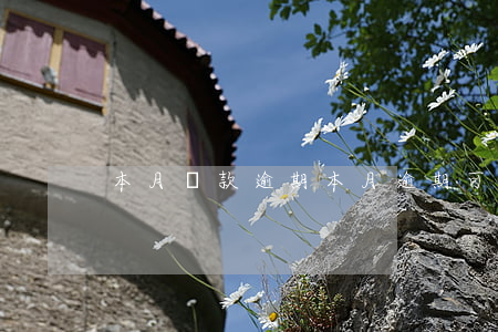 本月貸款逾期(本月逾期可以貸款嗎)