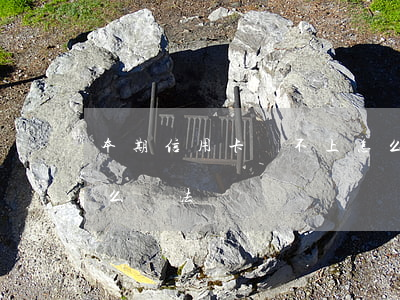 本期信用卡還不上怎么辦(信用卡還不上有什么辦法)