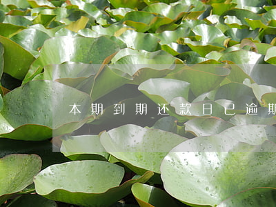 本期到期还款日已逾期(已过到期还款日)