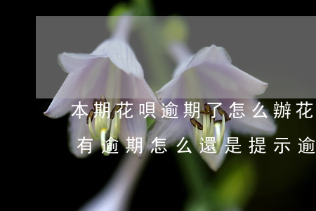 本期花唄逾期了怎么辦(花唄并沒(méi)有逾期怎么還是提示逾期了)