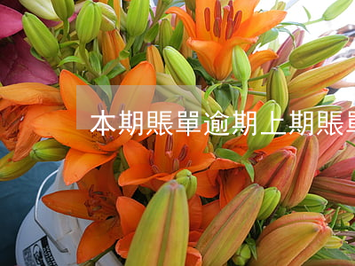 本期賬單逾期(上期賬單逾期了會算到這期嗎)