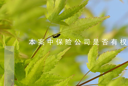 本案中保险公司是否有权终止保险合同