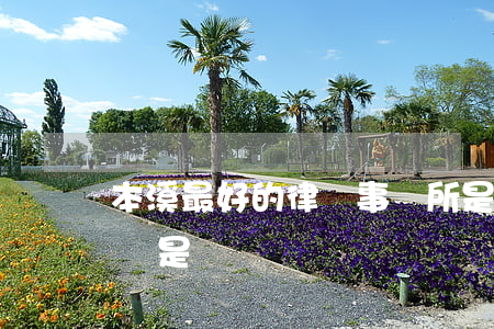 本溪最好的律師事務所是哪個(本溪最好的律師是誰)
