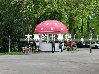 本票的出票規(guī)則
