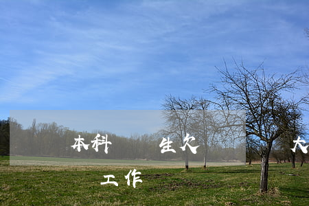 本科應屆生欠網貸進廠(大學生網貸會不會影響工作)