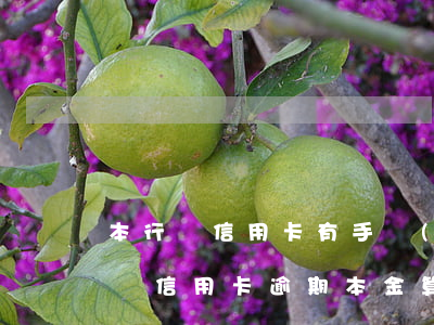 本行還信用卡有手續(xù)費(fèi)嗎（信用卡逾期本金算手續(xù)費(fèi)嗎）