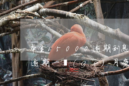 本金15000逾期利息是多少(15000逾期一個(gè)月多少利息)