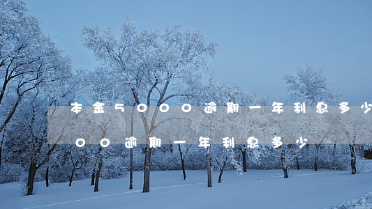 本金5000逾期一年利息多少-本金5000逾期一年利息多少錢