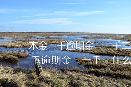 本金一千逾期金額一千二什么意思-本金一千逾期金額一千二什么意思啊