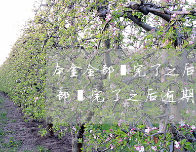 本金全部還完了之后逾期了怎么辦-本金全部還完了之后逾期了怎么辦呢