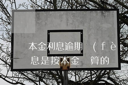 本金利息逾期費(fèi)還款順序(逾期利息是按本金計算的嗎)