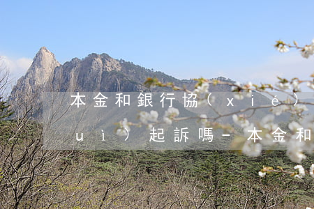 本金和銀行協(xié)商分期還款會(huì)起訴嗎-本金和銀行協(xié)商分期還款會(huì)起訴嗎