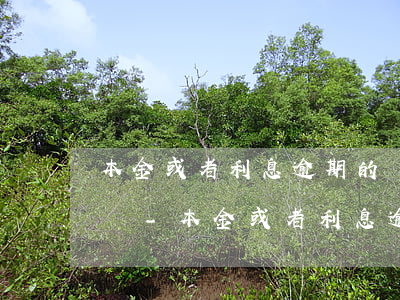 本金或者利息逾期的貸款應(yīng)歸為-本金或者利息逾期的貸款應(yīng)歸為哪一類