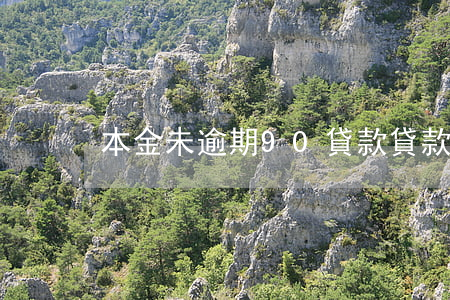 本金未逾期90貸款(貸款90天以上逾期)