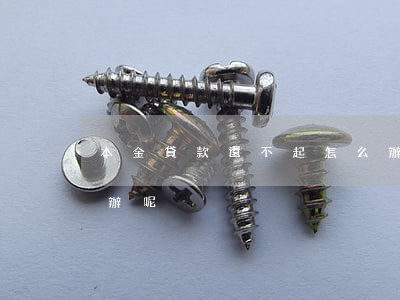 本金貸款還不起怎么辦(本金貸款還不起怎么辦呢)