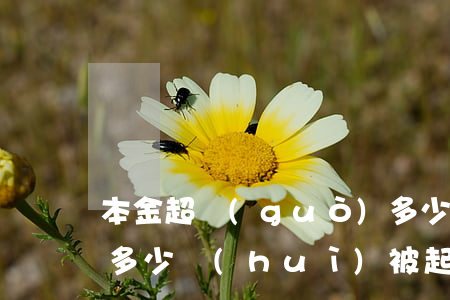 本金超過(guò)多少可以起訴（本金逾期多少會(huì)被起訴）