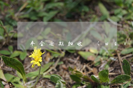 本金逾期加收萬(wàn)分之五的違約金-