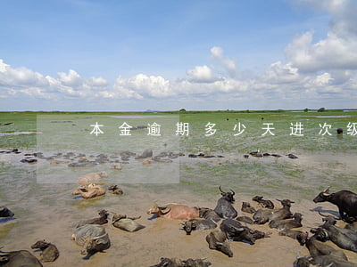 本金逾期多少天进次级(次级逾期天数)