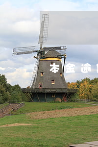 本金逾期情况说明 逾期情况说明模板