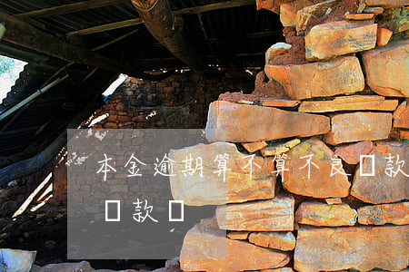 本金逾期算不算不良貸款(逾期貸款屬于不良貸款嗎)