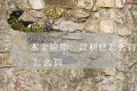 本金逾期還款利息怎么算(本金逾期還款利息怎么算)