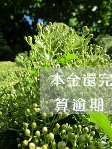 本金還完了逾期罰金沒還 逾期未還本金算不算逾期