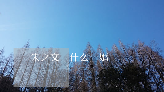 朱之文為什么離婚
