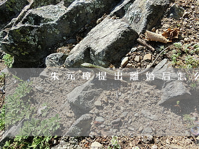 朱元璋提出離婚后怎么辦