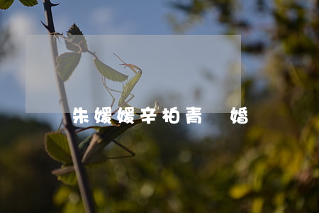 朱媛媛辛柏青離婚