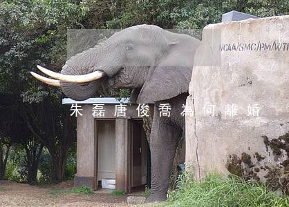 朱磊唐俊喬為何離婚