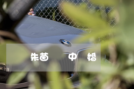 朱茵黃貫中離婚