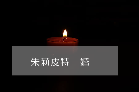 朱莉皮特 離婚