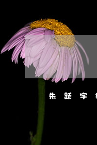 朱跃宇钱逾期网贷