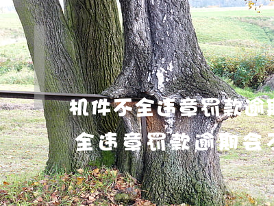机件不全违章罚款逾期会不会反倍-机件不全违章罚款逾期会不会反倍罚款呢
