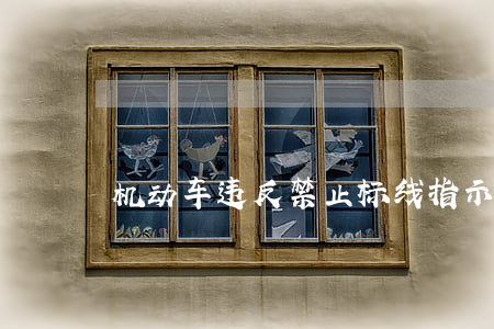 机动车违反禁止标线指示的怎么处罚