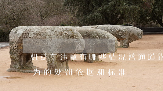 机动车违章有哪些情况（普通道路交通违章行为的处罚依据和标准）