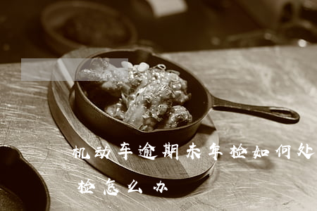 机动车逾期未年检如何处理(机动车逾期未年检怎么办)
