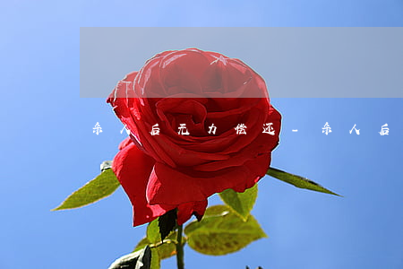 杀人后无力偿还-杀人后无力偿还