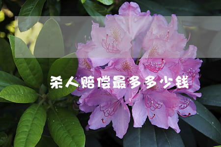 杀人赔偿最多多少钱